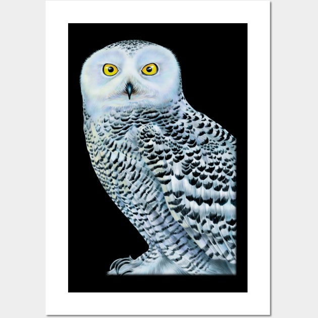 Snowy Owl Wall Art by Tim Jeffs Art